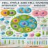 Cell: The Unit of Life