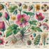 The Animal Kingdom: A Comprehensive Guide