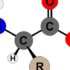 What Are Uncommon Amino Acids? A Deep Dive into Their Roles and Importance