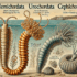 Ascidian Tadpole Larvae and Its Retrogressive Metamorphosis